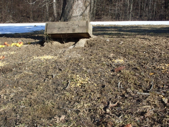 ...keď sa sneh roztopil...