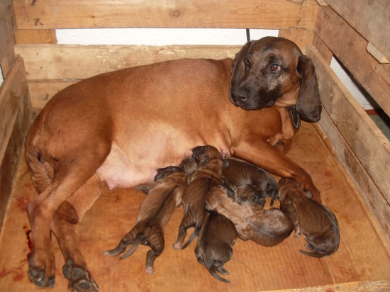 Dianka a jej ratolesti :-)