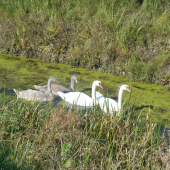 ...pekná rodinka :-)