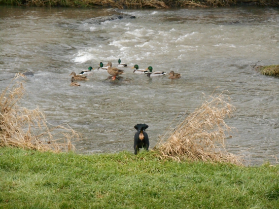 ...a vy ste kto? :-)