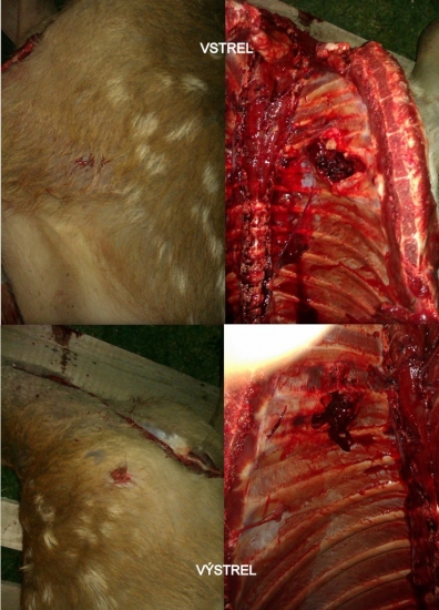 GECO. TM 11,0 g. 308w