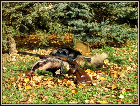 netradičný úlovok nočného tuláka - 