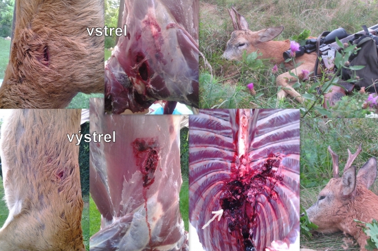 SAKO Hammerhead 11,7 gr., .308 W