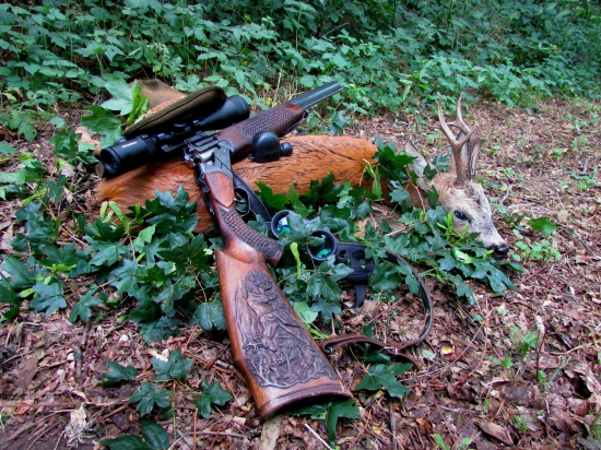 môj srnec z ruje 2015