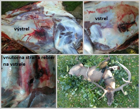 308W - Sako hamerhead 11,7 gr.