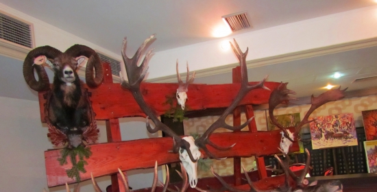 naj zo zemplinskych polovnickych dni