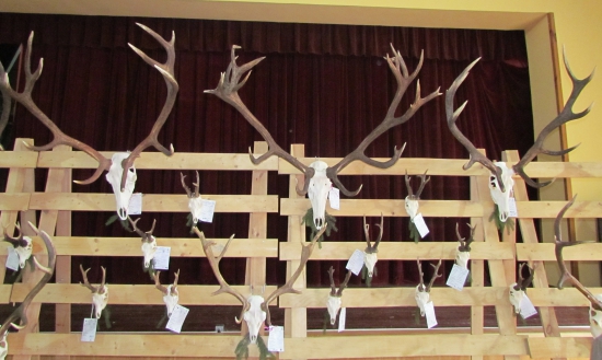 najsilnejšie trofeje vo Vranove n/T za sezónu 2017/2018