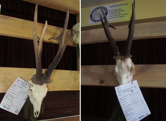 najsilnejšie - zlaté srnce okresu Vranov n/T,  sezóna 2017/18