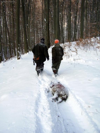 ...dole kopcom to ide dobre