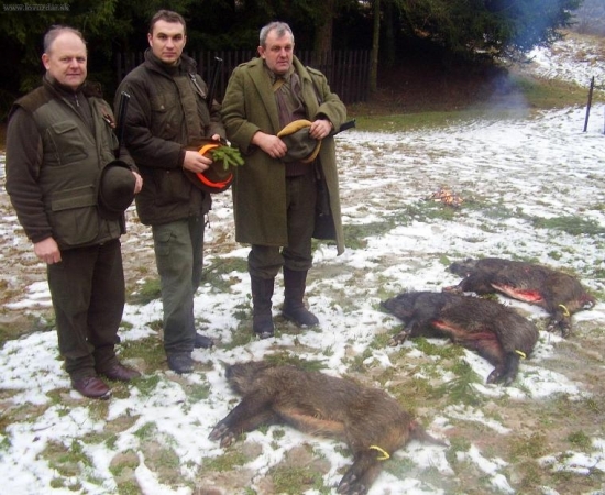 v spoločnosti priateľov