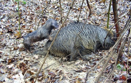 tak ten je iba môj...