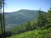 Pohled z Javorového