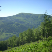 Pohled z Javorového