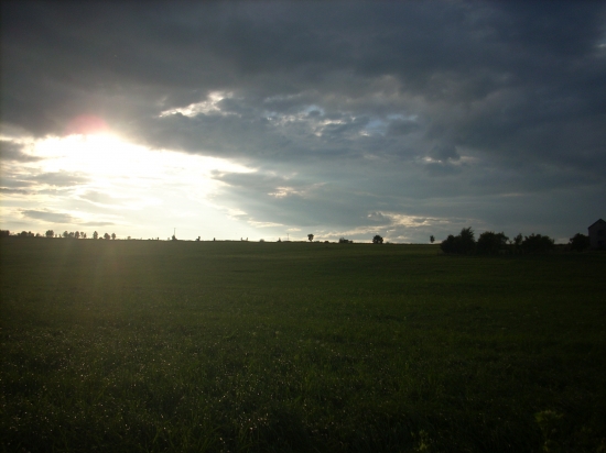 Podvečerní louka