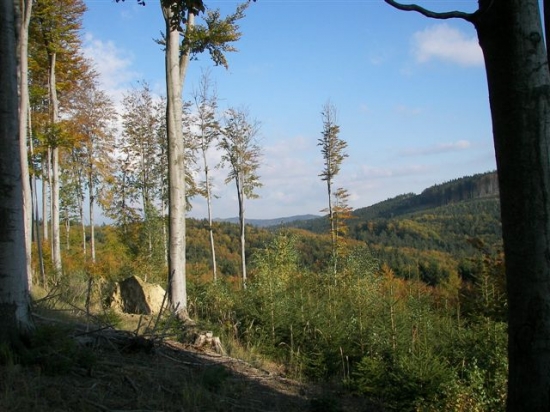 krajinka