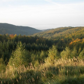 Krása místní přírody