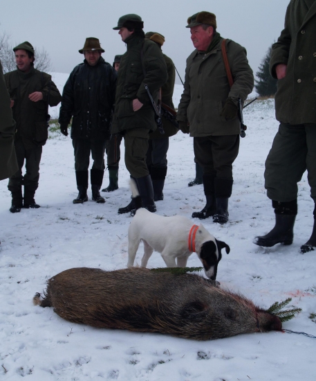 Vzpomínka na zimní lov s foxíkem