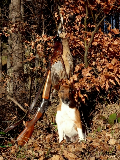 Z Karpatských strání