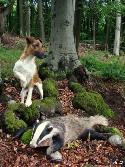 Gonzales s jezevcem!