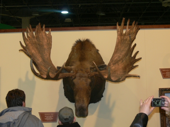 Výstava Budapešť.