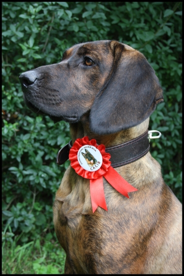 chudnúť sa oplatilo :)