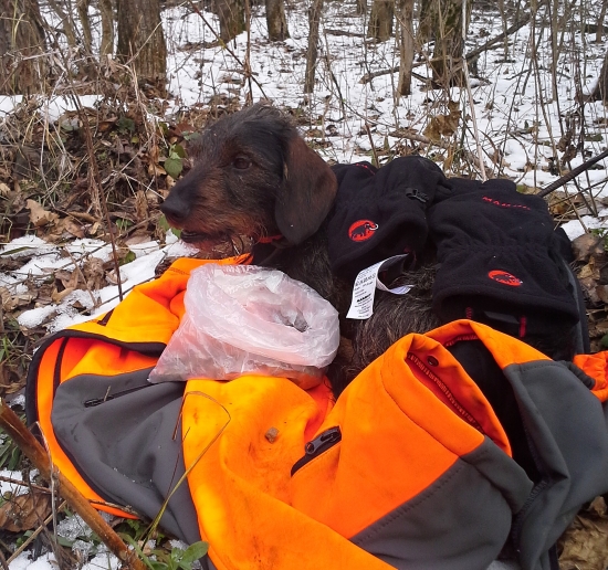 po prvom kole, 1:0 pre diviaky :)