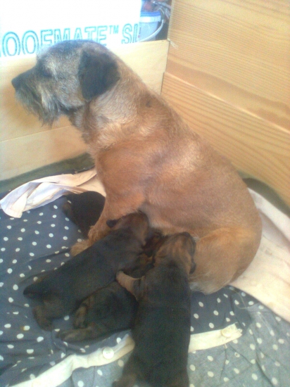 Tak už máme dva týždne - BT