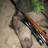 lanštiak