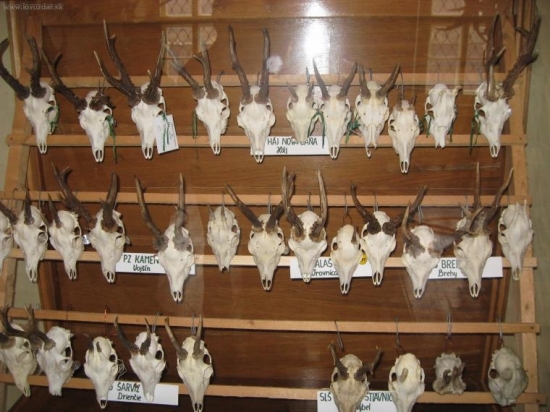 prehliadka trofejí sv. ANTON