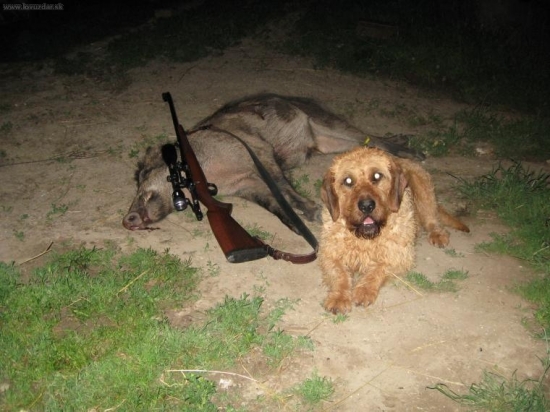 spokojný štajerák