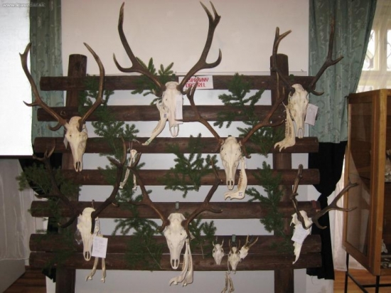 nesprávny odstrel sv. ANTON