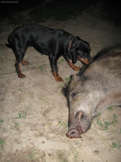 po úspešnej dohľadávke