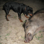 po úspešnej dohľadávke