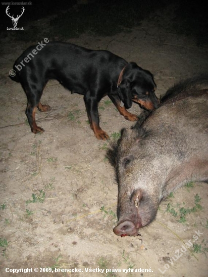 po úspešnej dohľadávke