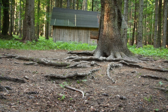 Jak jsme šli dočistit krmelec...