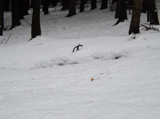 Hádanka,copak to asi je...?