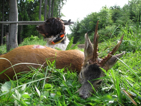 Něm.prep.Dark z Lovoše