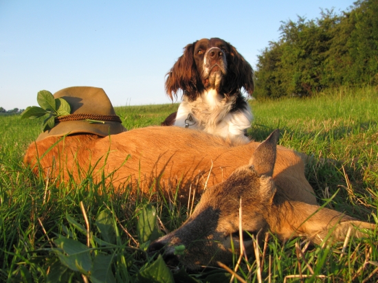 Závěr pěkného rána...