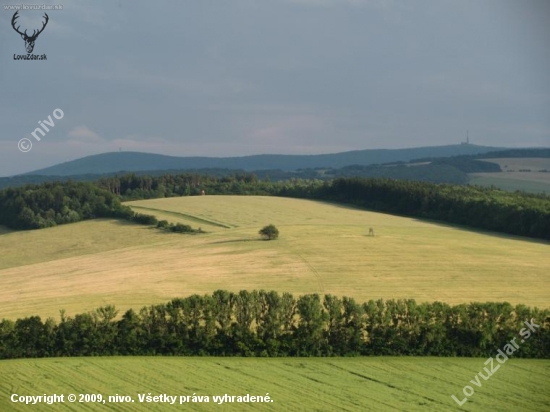 Velká Javorina