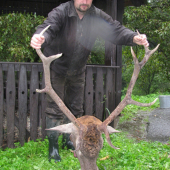 Spokojený host