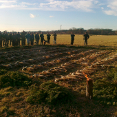 Štěpánský hon 2014