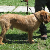 Sielnica 2009