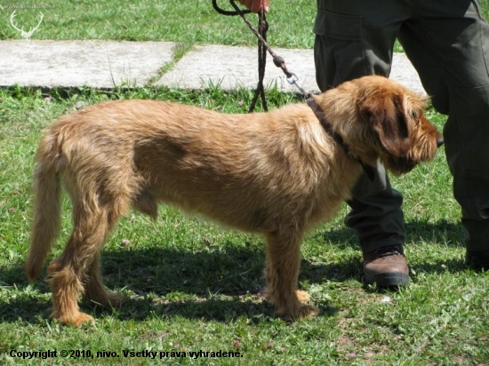 Sielnica 2009
