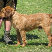 Sielnica 2009