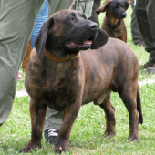 Sielnica 2009