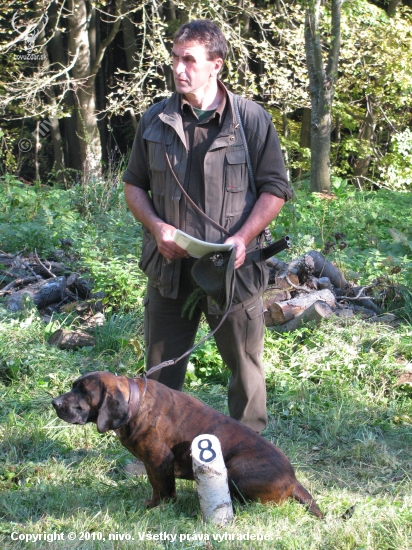 Pzb-Kochavec 2010