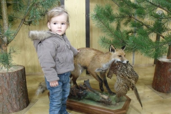 Chovateľská prehliadka okr. RV