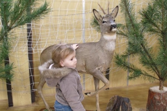 Chovateľská prehliadka okr. RV