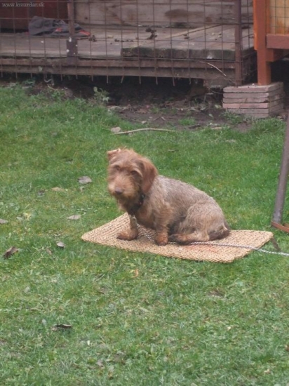 už len spomienka na Brixa