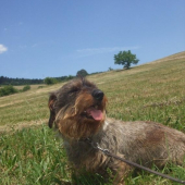 Ita